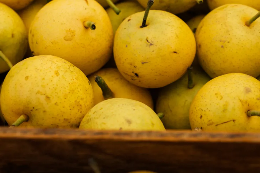 Nutrióloga Rocío Ruiz